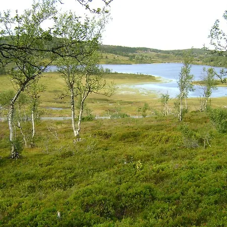 Farhovd Hyttegrend * Torvetjørn